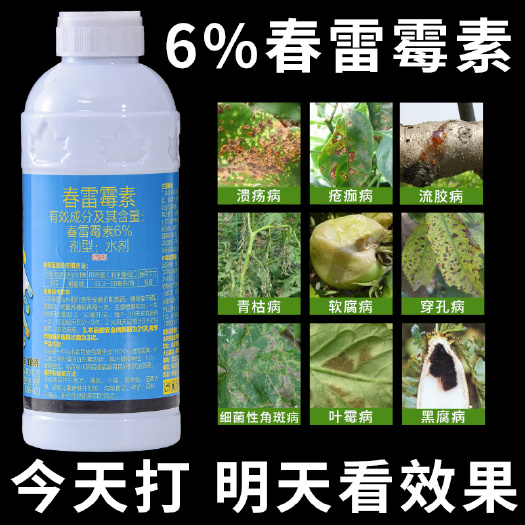 曹县6%春雷雷霉素毒素杀菌剂叶斑角斑稻瘟病流胶病柑橘蔬菜软腐细菌