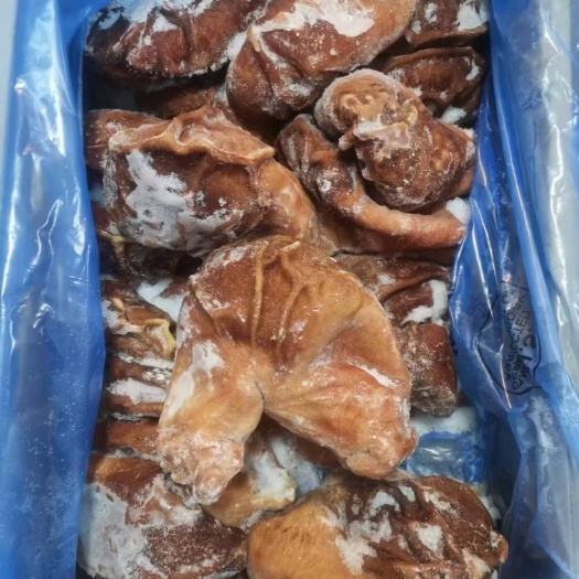 美国熟大肚，久煮不破肚，爽口有嚼劲