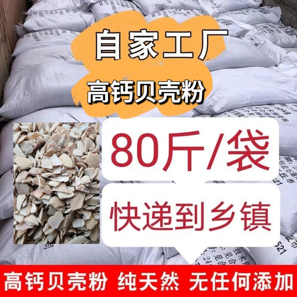 黄骅市高钙贝壳粉饲料添加高钙动物家禽天然钙片