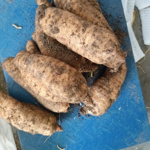 略阳县天麻，干货