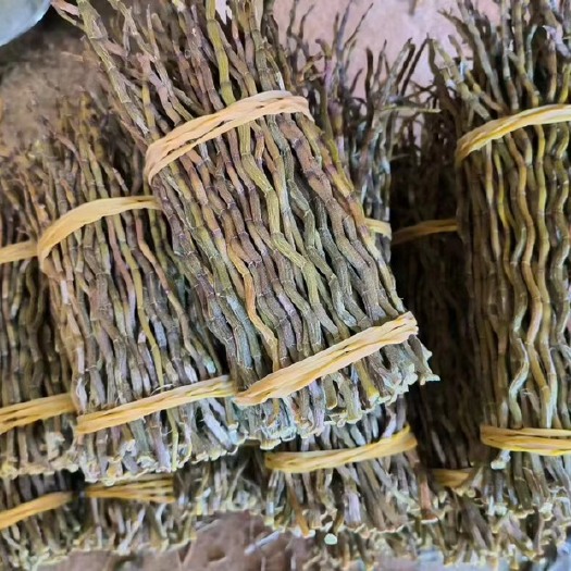 惠州铁皮石斛干条