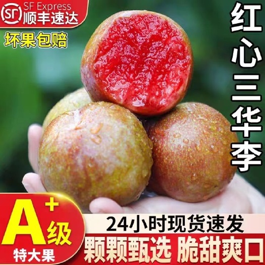 信宜市【顺丰包邮】银妃钱排红心三华李子现货当季酸甜脆李子孕妇水果