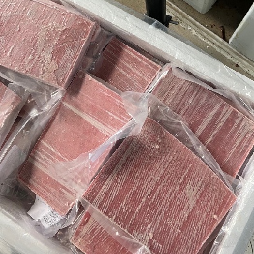 大连超低温蓝鰭赤身