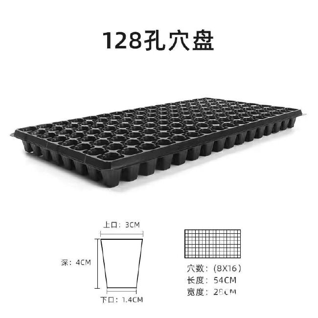 育苗盘穴盘秧盘西瓜种子加厚育苗盘超厚穴盘