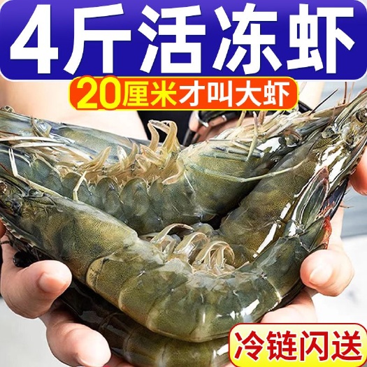 青岛【顺丰快递】青岛盐冻大虾批发特大号鲜活冷冻一整箱海虾基围