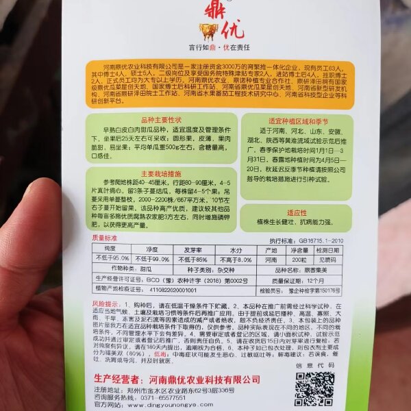 鼎香集白皮白肉甜瓜种子早熟圆形果皮薄结果能力强