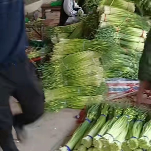 亳州蒜苔大量上市有需要的抓紧联系