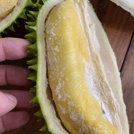 深圳D197 BB 小猫 6头