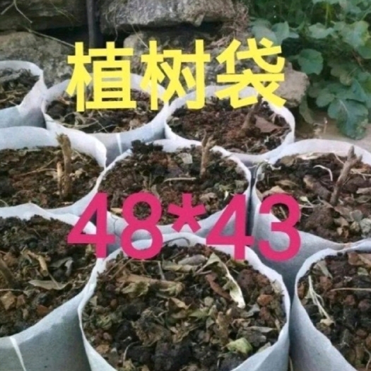 桐城市【安徽六尺巷】无纺布种植袋植树袋美植袋果蔬花盆容器工厂价直发