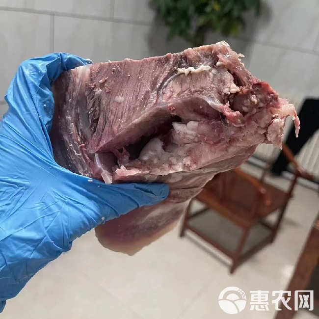 牛头肉熟