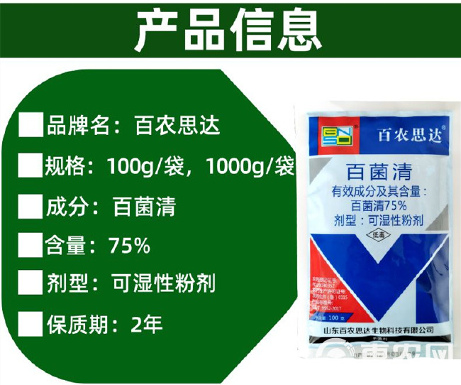 蓝粉75%百菌清蔬菜黄瓜霜霉病专用农药杀菌剂