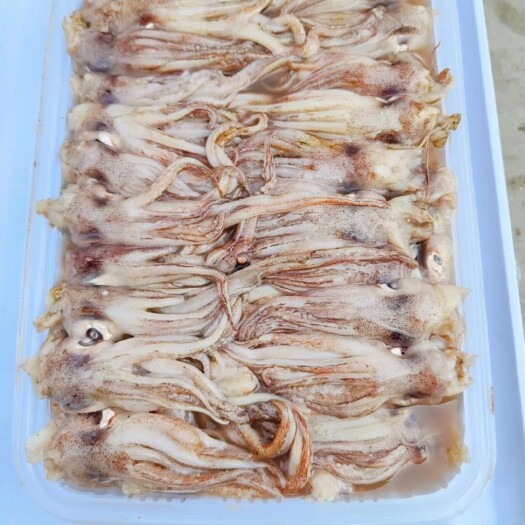 鱿鱼头，爆炒，烧烤，海头镇源头加工