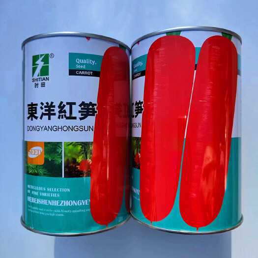 沭阳县东洋红笋胡萝卜种子皮肉芯呈桔红色质优耐暑性强三红胡萝卜种子