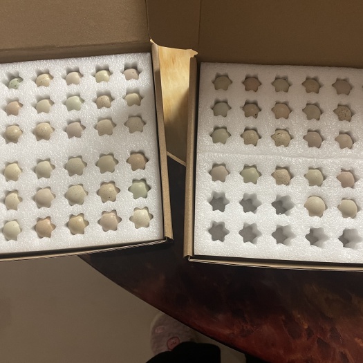 宁波芦丁鸡蛋，均为一周内下的蛋，量大需提前订喔！
