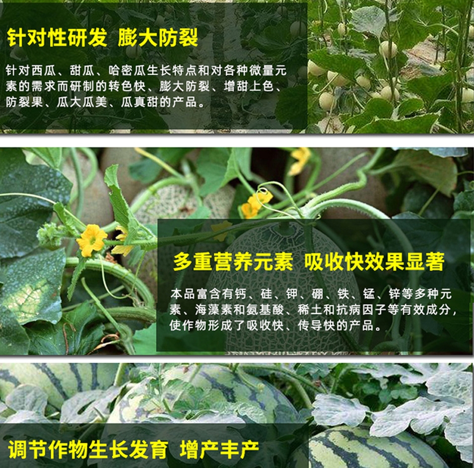 西瓜甜瓜膨大增甜剂，瓜宝，详细介绍请看包装说明谢谢！