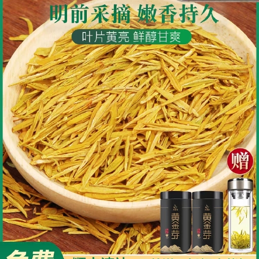 安吉县高档黄金芽茶叶2024年新茶正宗明前特级安吉原产白茶高山绿茶