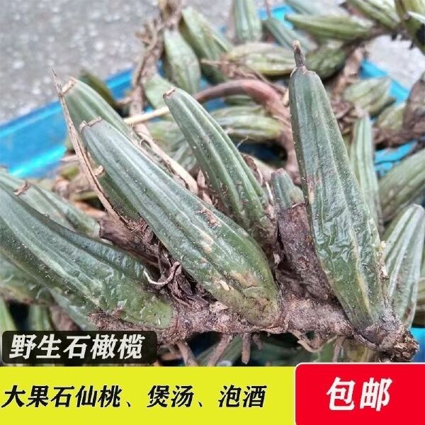 贵州新鲜石橄榄