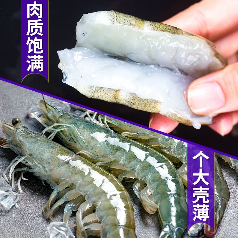 [青島直供 品質(zhì)有保證]青島大蝦冷凍基尾蝦 海鮮對(duì)蝦順豐直達(dá)