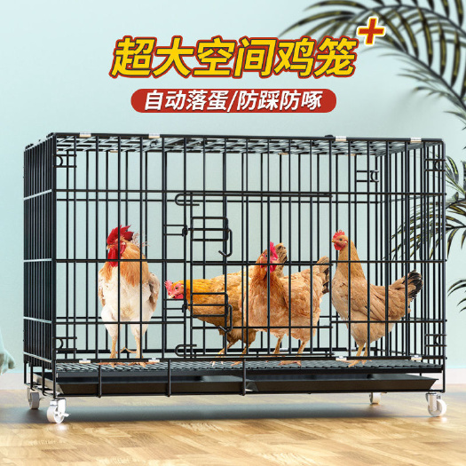 鸡笼子大号特大养殖笼自动清粪鸡舍家用家庭鸡笼