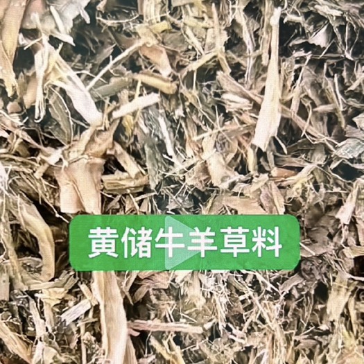 衡水黄储