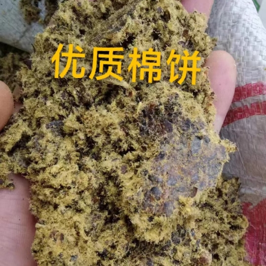 正定县棉粕