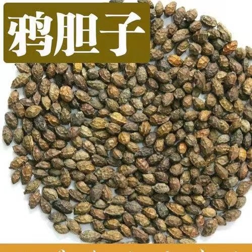 固阳县鸦胆子鸦胆子新货鸦胆子老鸦胆苦参子鸦蛋子