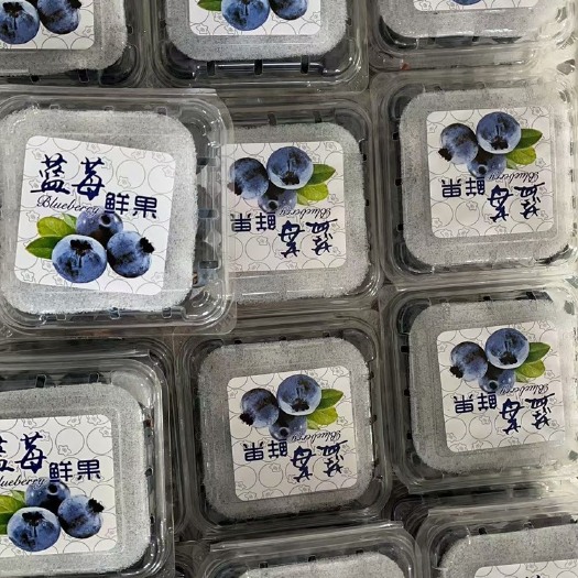 东港市丹东鲜果蓝莓15mm+承接团购电商和商超