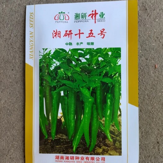 牛角椒种子 湘研十五号长牛角辣椒籽种子 中熟 味辣抗病高 产
