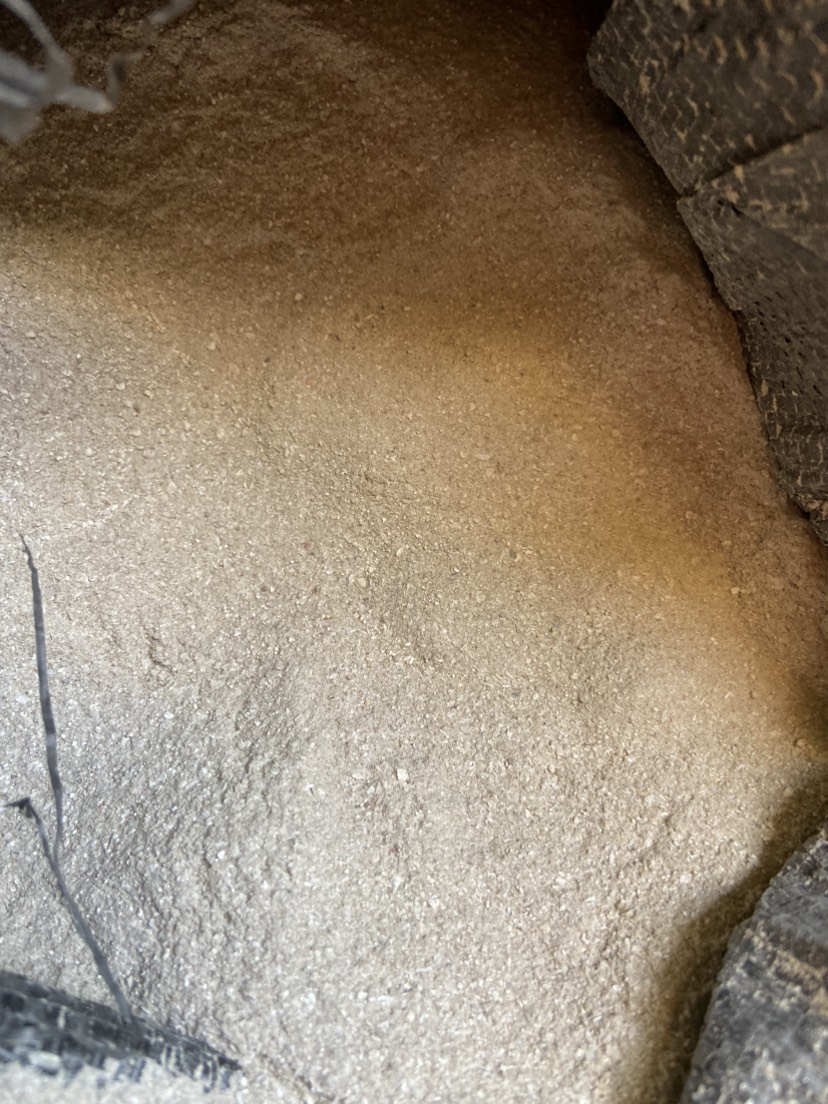 贝壳粉（贝壳经过粉碎研磨制成的粉末）属矿物质补充材料。