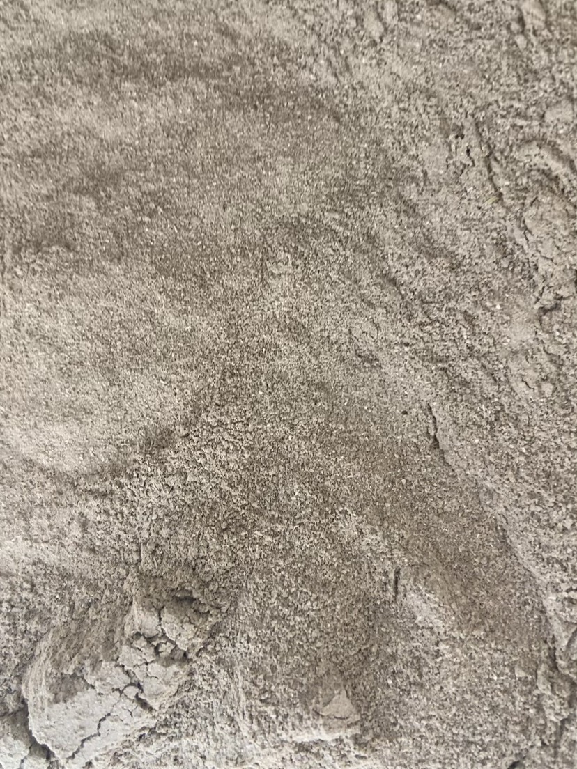 贝壳粉（贝壳经过粉碎研磨制成的粉末）属矿物质补充材料。