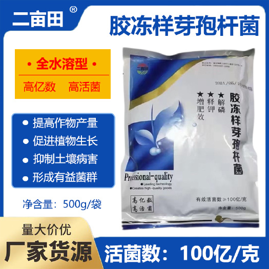 邯郸胶冻样芽孢杆菌 解磷解钾增加肥效微生物菌剂