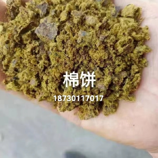 石家庄现货供应，优质棉饼，质量上乘，价格合理，适用于各种饲料添加使