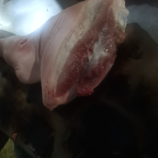 枝江市新鲜，冷鲜猪蹄膀。