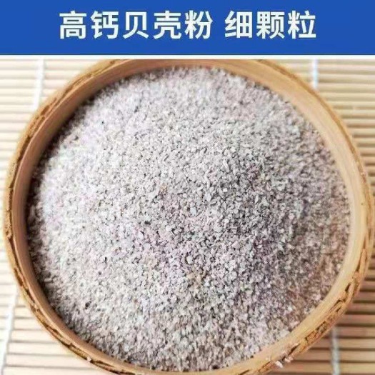无棣县高钙贝壳粉颗粒鸡饲料扇贝小颗粒补钙家禽用饲料