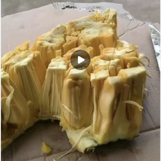 吴川市泰八红肉，香淳脆甜菠萝蜜