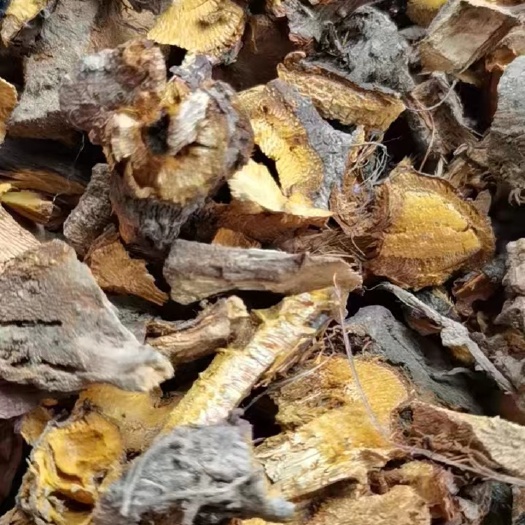 大悟县虎杖，干段子