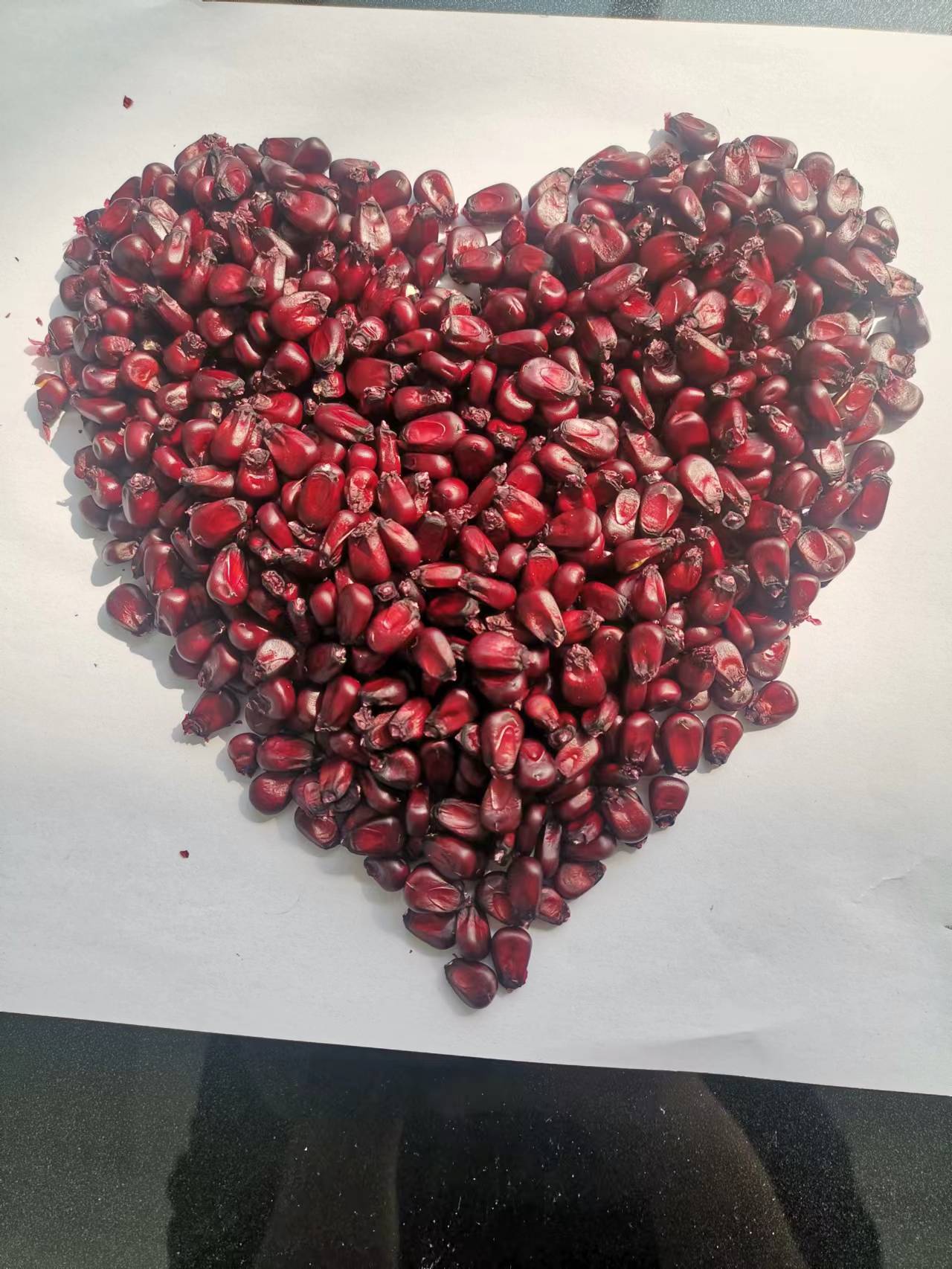 烟台花青素紫玉米粒