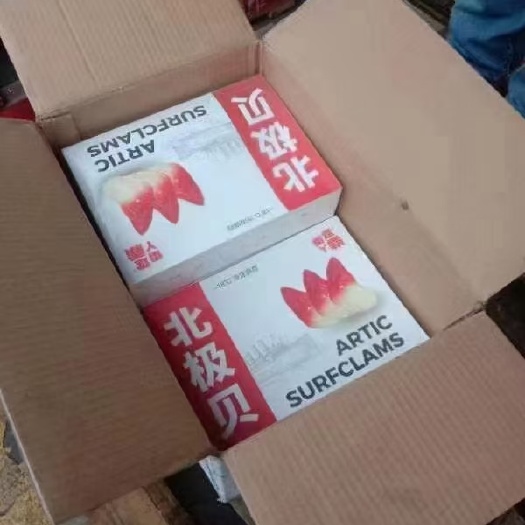 成都雷霆北极贝S号（一件10公斤）