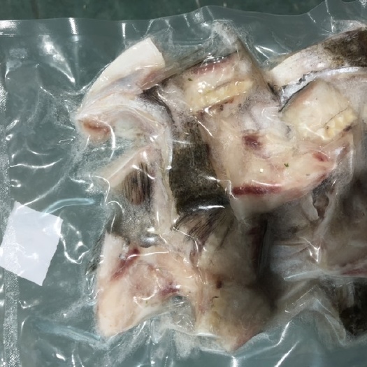 肇庆鲢鱼块