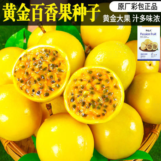 黄金百香果种子抗并农田菜园基地水果籽香味浓郁果汁含量高