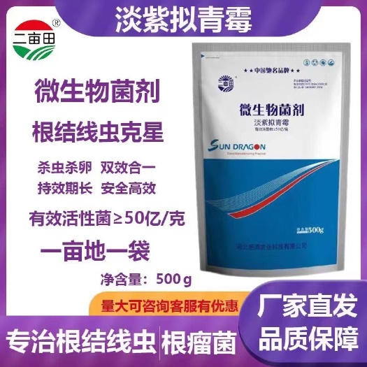 淡紫拟青霉 纯淡紫孢菌 源沃品牌  根结线虫的克星
