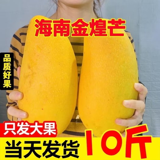 海南金煌芒10斤水仙芒果整箱当季新鲜青芒孕妇热带水果甜心芒包