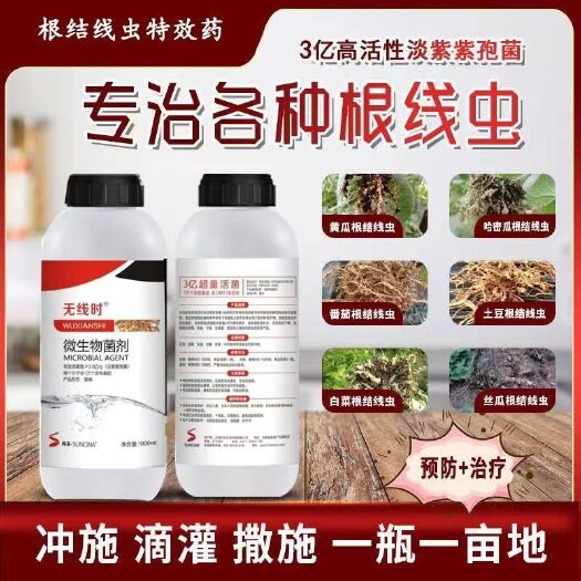 无线时线虫药淡紫紫孢菌无线时专治根结线虫专业杀线剂根瘤根结