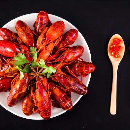 简阳市麻辣小龙虾批发调料商用小龙虾底料麻辣香锅酱料盱眙小龙虾调味料