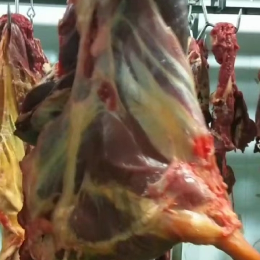 大厂县草地黄膘牛肉