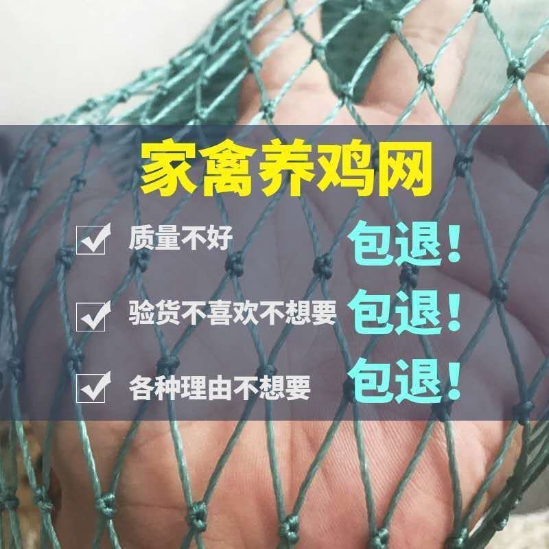 养鸡网养殖网拦鸡网围栏网尼龙网家禽养鸡格网果园护栏网天网