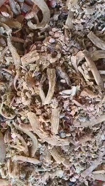 熟鱼块