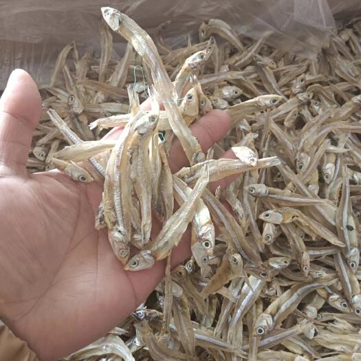 广州深海小鱼干，淡干咸干都有货，干度好，口感好