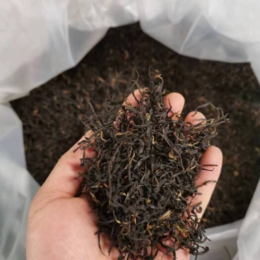 寿宁县2023年春季高山红茶，花果香金牡丹，新工艺红茶