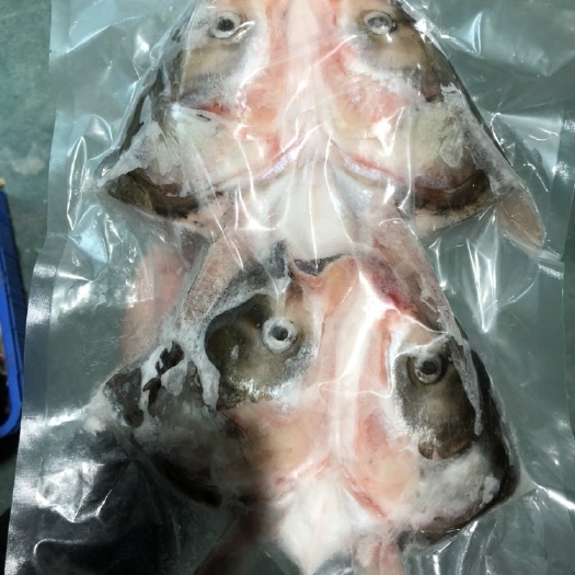 肇庆小鱼头